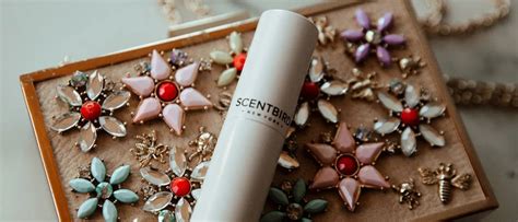 what size are scentbird perfumes